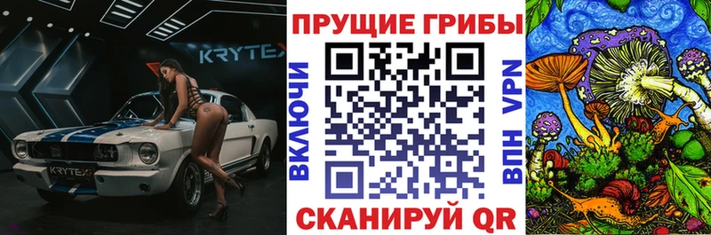 Купить где  Могоча  Галлюциногенные грибы MAGIC MUSHROOMS 