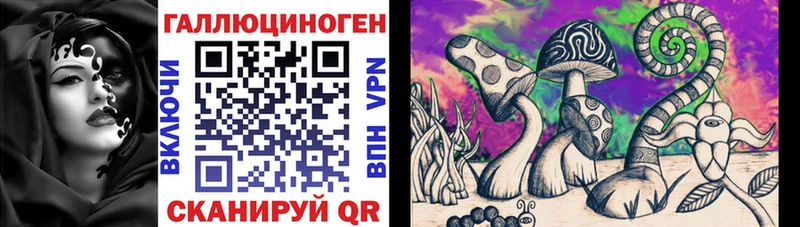 Галлюциногенные грибы Cubensis Могоча